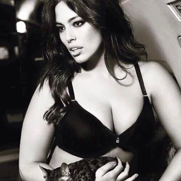 Ashley Graham Bra size 38 DDD in black. New without tags. - Picture 1 of 8